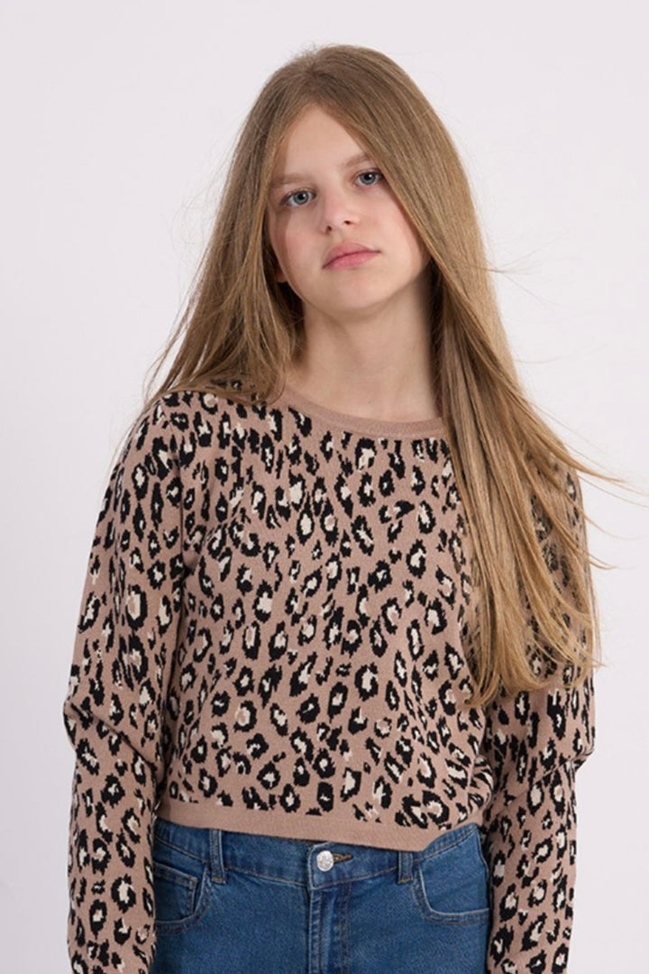 Brown Leo Sweater
