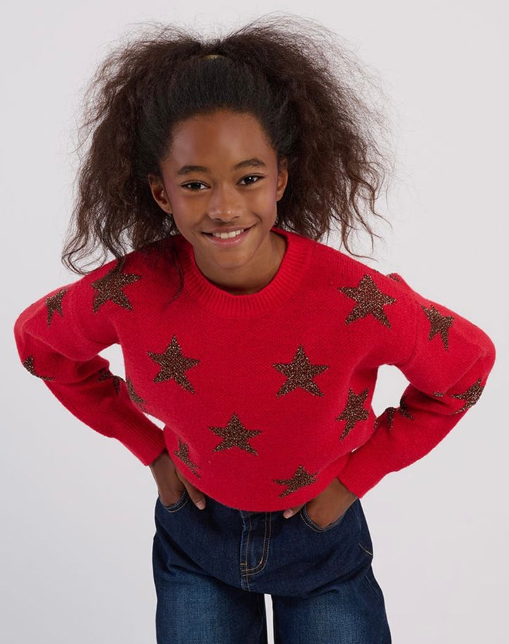 Red with Metallic Stars Sweater
