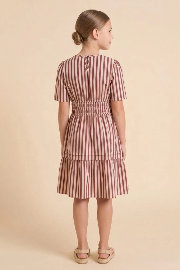 Burgundy Stripe Dress