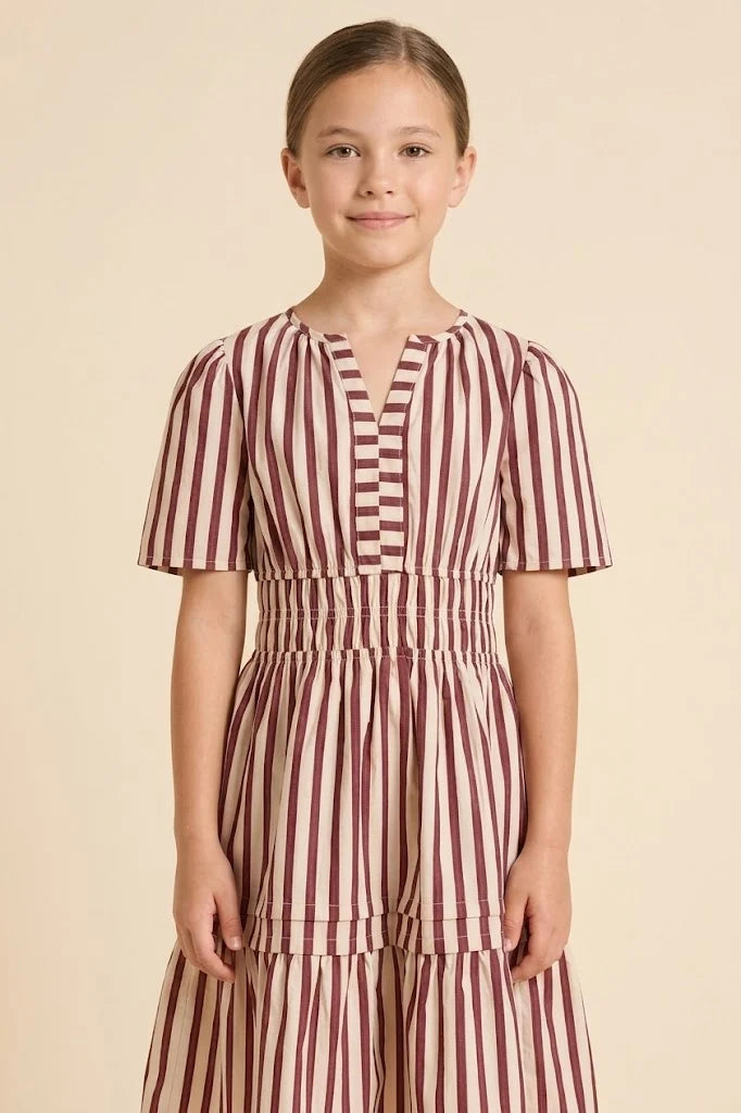 Burgundy Stripe Dress